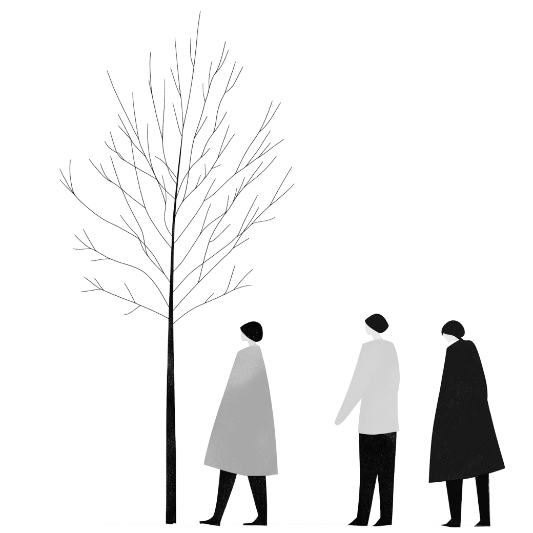 Optimiser les performances des sites web en 2024 : conseils essentiels pour plus de rapidité et d'efficacité